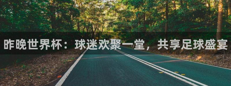 世界杯足球赛2026:昨晚世界杯:球迷欢聚一堂,共享足球盛宴