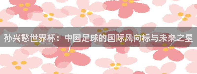 2026世界杯32强对阵图表:孙兴慜世界杯:中国足球的国际风向标与未来之星
