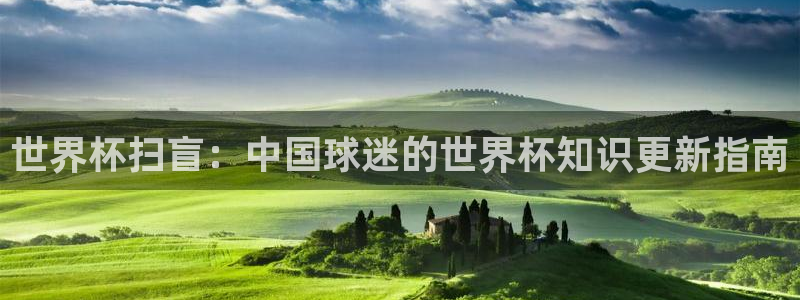 今年世界杯:世界杯扫盲:中国球迷的世界杯知识更新指南