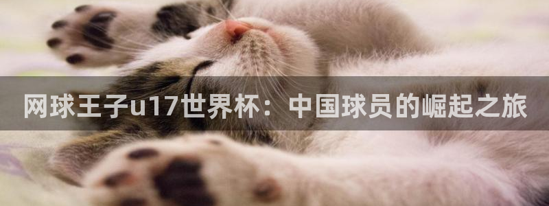 今年世界杯:网球王子u17世界杯:中国球员的崛起之旅