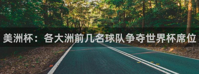 世界杯足球直播:美洲杯:各大洲前几名球队争夺世界杯席位